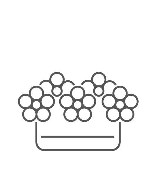Box of flowers